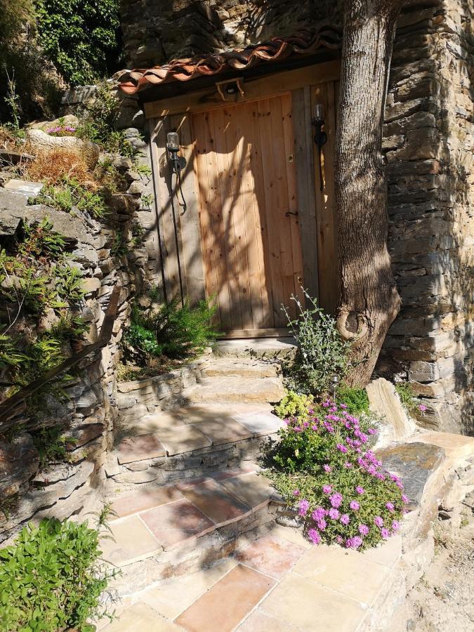 Les Citounelles Villa Ngoại thất bức ảnh